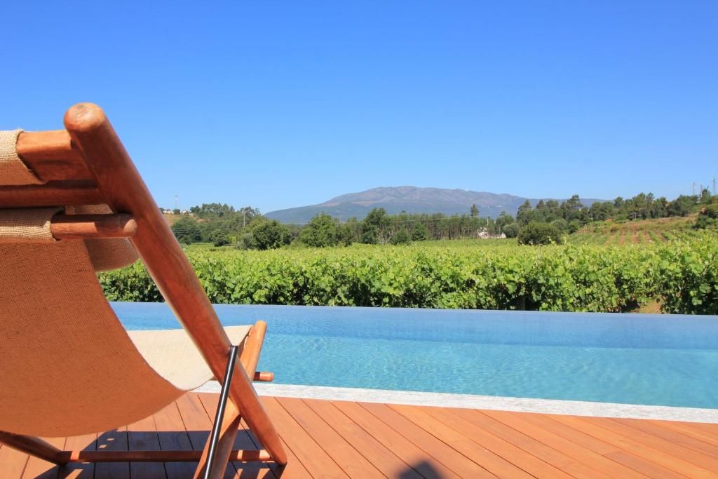 piscine extérieure avec vue sur les vignes de la région du Nord du Portugal