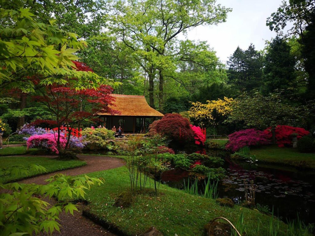 jardin japonais ouvert 2 fois par an dans le parc Clingendael de La Haye