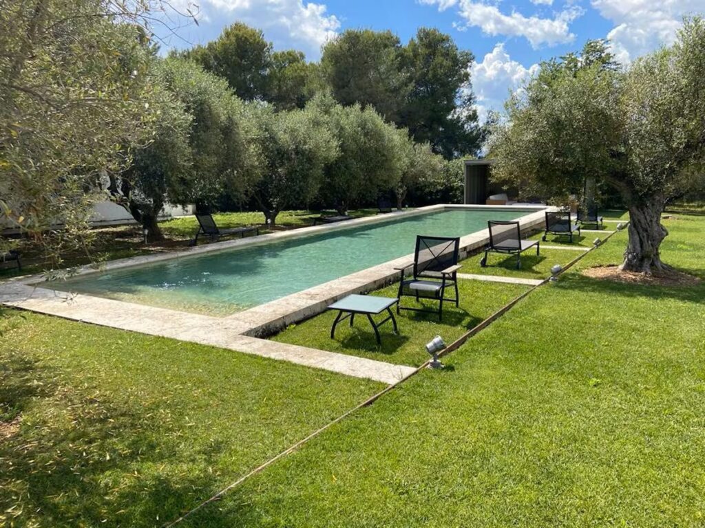 magnifique jardin avec piscine extérieure bordée d'oliviers