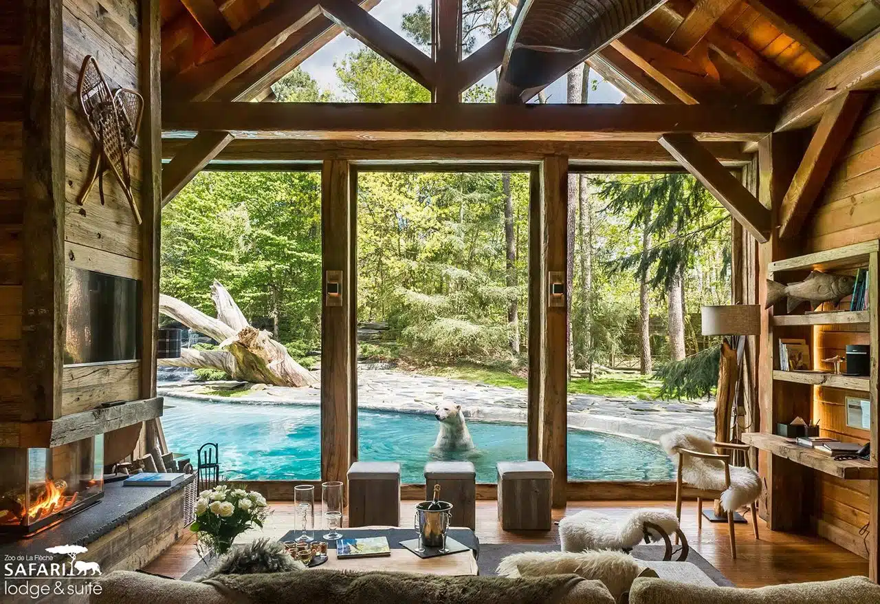 séjour d'un lodge avec vue sur le bassin des ours polaire au Safari Lodge du Zoo de la flèche