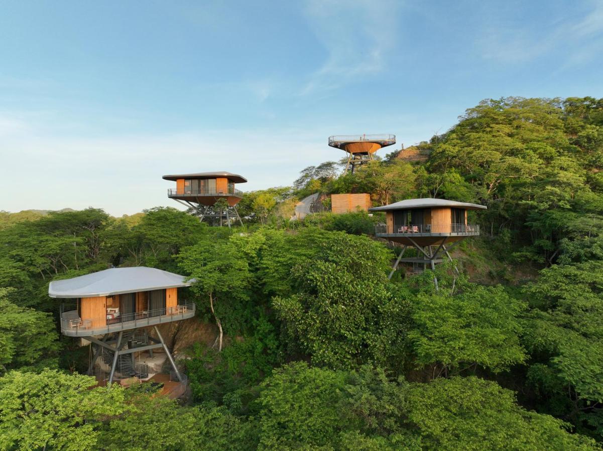 vue des suites sous forme de cabane perchée dans les arbres à l'hôtel Suitree Experience Hotel au Costa Rica