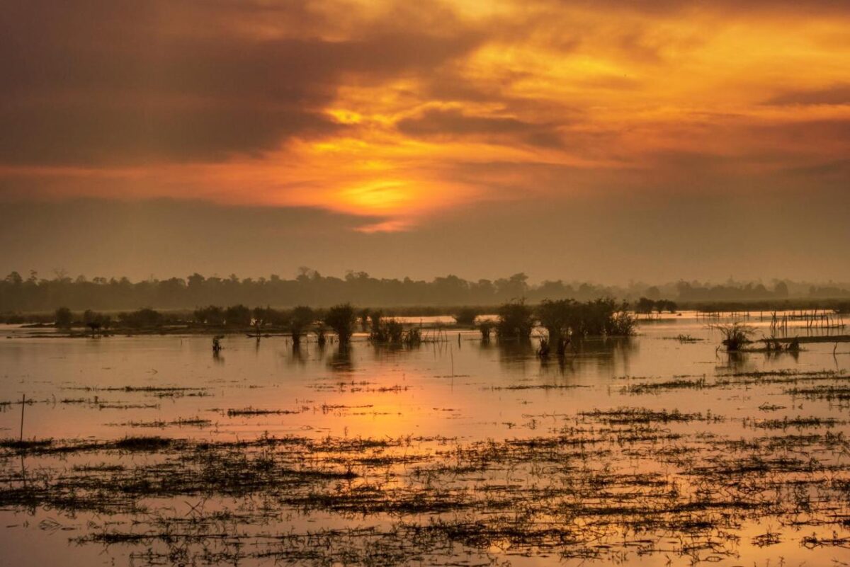 panoramas de marais au coucher du soleil depuis le Kingfisher Ecolodge au Laos