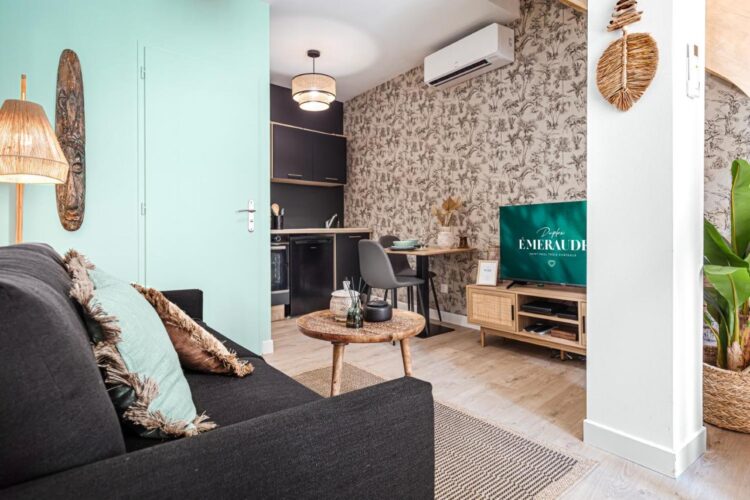 magnifique appartement chaleureux et cosy en location de vacances au cœur historique de Saint-Paul-Trois-Châteaux