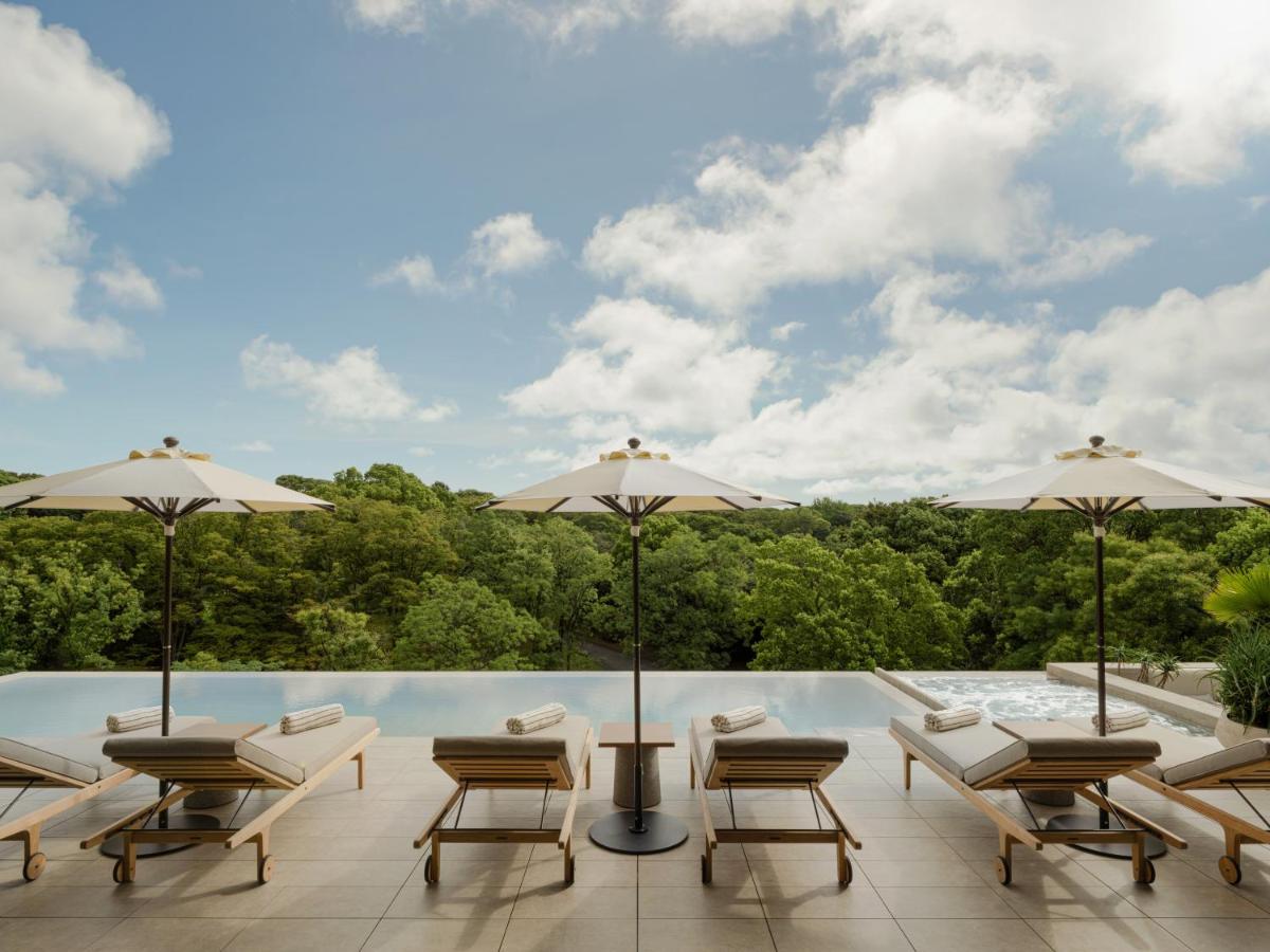 Hôtel 5* avec piscine à débordement offrant une magnifique vue sur le parc Yoyogi, en plein cœur de Tokyo